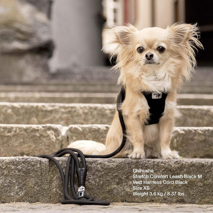 Stretch Comfort Leash Black M, Black M