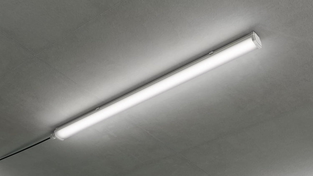 Philips Lighting Ledinaire WT060C L1200 LED-Feuchtraumleuchte LED fest eingebaut 30W Neutralweiss Gr
