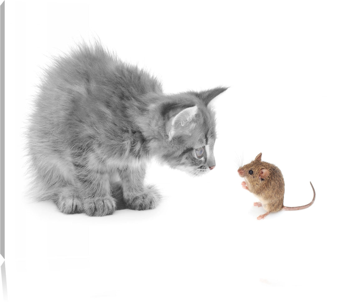 Katz und Maus schwarz/weiss Format: 100x70 auf Leinwand, XXL riesige Bilder fertig gerahmt mit Keilr