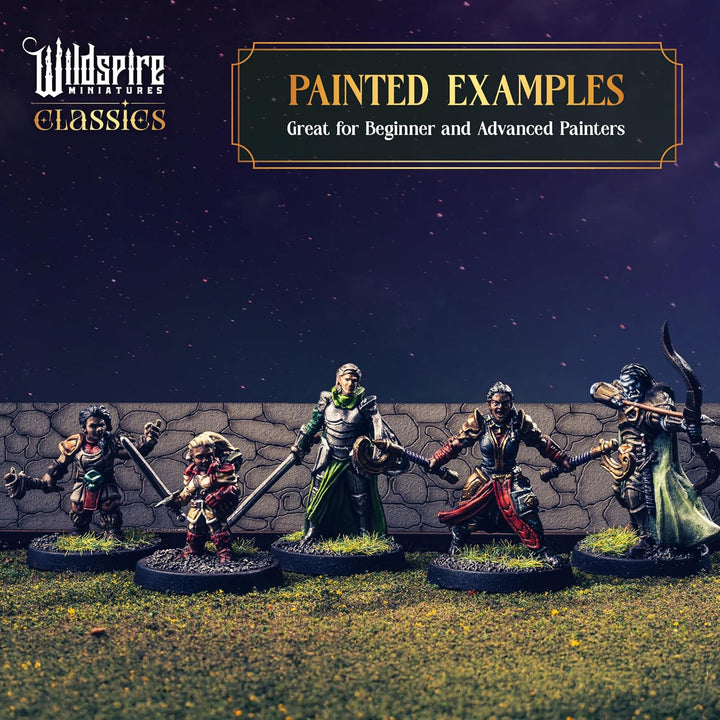 Mercenary Guild II - Essential Heroes - 55 Hero, Player Characters, NPC for DND Miniatures Bulk I 28