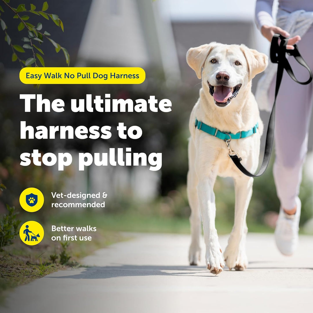 PetSafe Easy Walk Hundegeschirr, kein Ziehen, das ultimative Geschirr, um das Ziehen zu stoppen, übe