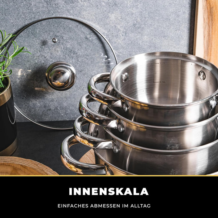 Topfset Induktion 5-teilig, Kochtopf Set mit Glasdeckel, Edelstahl mattiert, Induktions Töpfe Set un