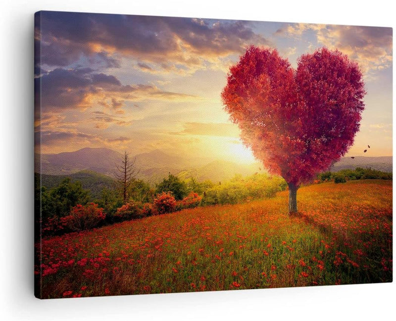 Bilder auf Leinwand Baum Wiese Blume Leinwandbild mit Rahmen 70x50cm Wandbilder Dekoration Wohnzimme