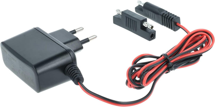 vhbw Ladegerät für Starter Akkus kompatibel mit Scheppach Rasenmäher, 12 V / 0,1 A, 2m