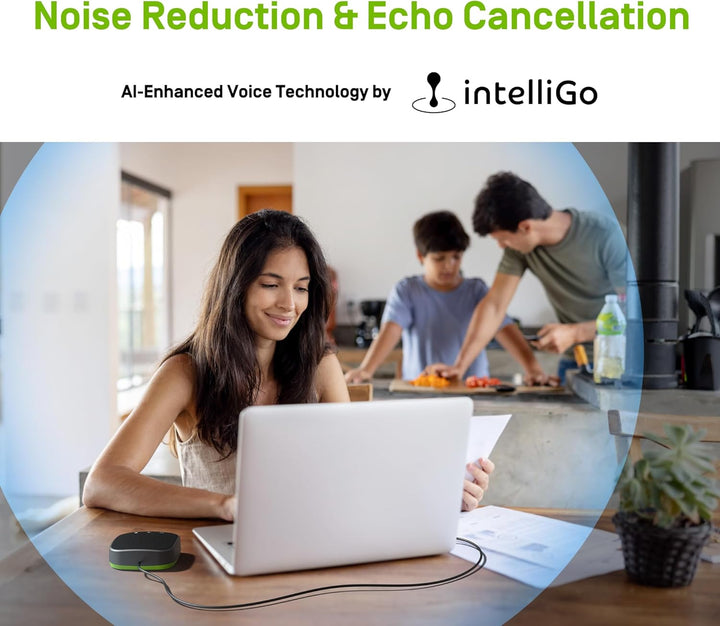 Ipevo VC-A10 USB Tragbare Freisprecheinrichtung, Konferenzen, Videoanrufe, Online-Meetings, Hybrid-A