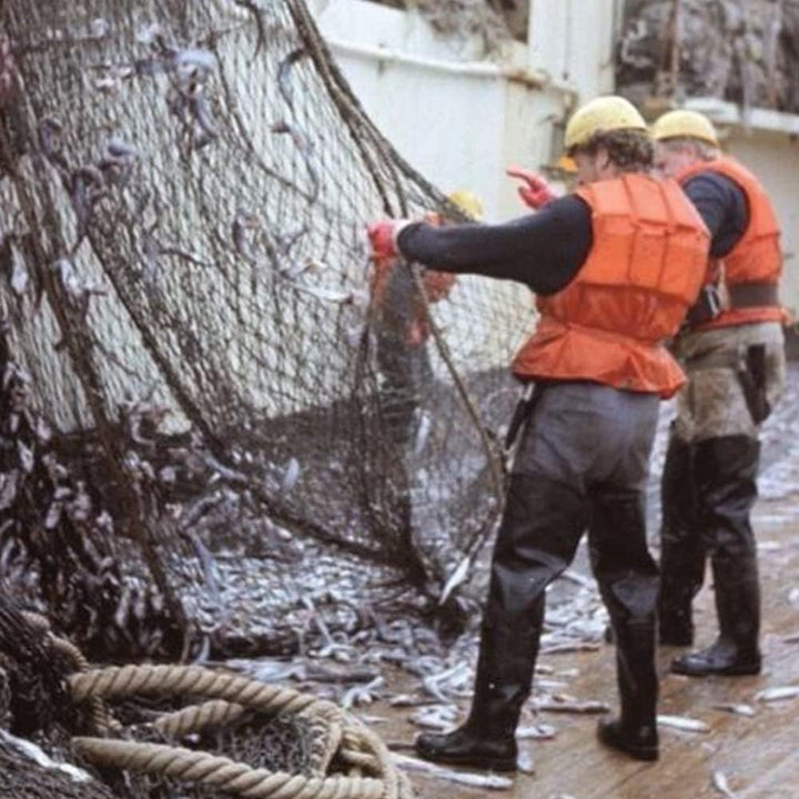 Fagum Stomil/ LD Waders WATSTIEFEL echte Gummi Naturkautschuk Rubber Watthose Anglerhose Teichhose 4