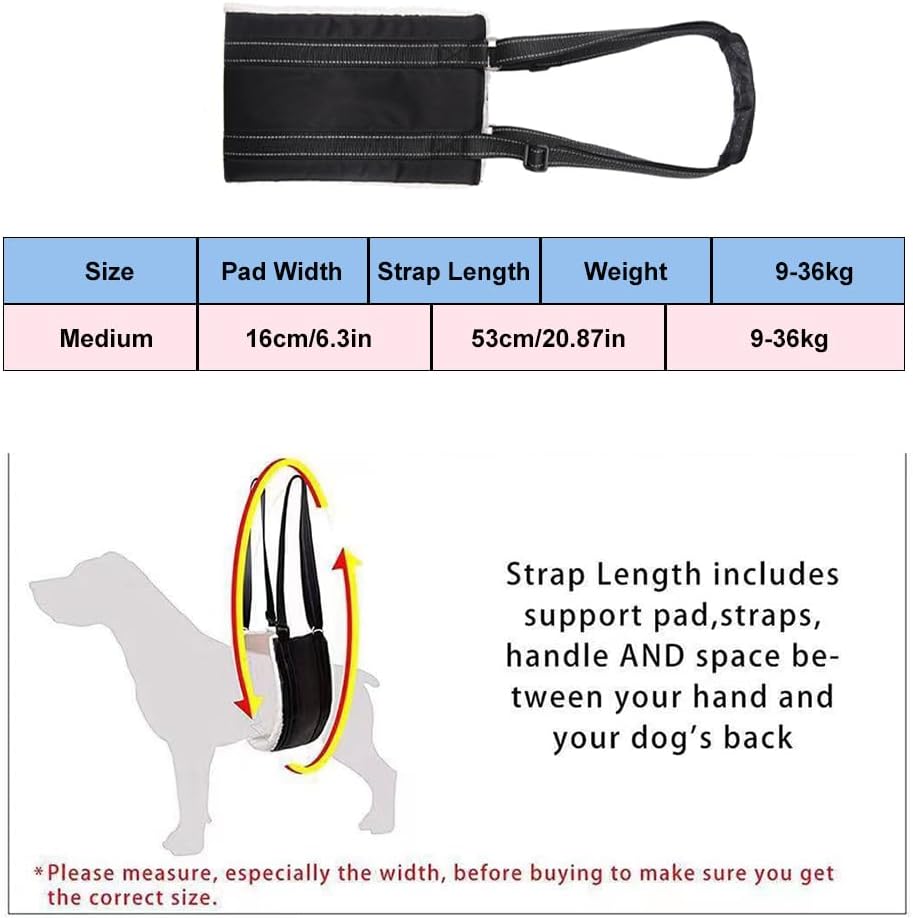 Hunde Tragehilfe, Verstellbare Gehhilfe für Hunde, Hundegeschirr mit Gehhilfe, Hinten Lift Support G