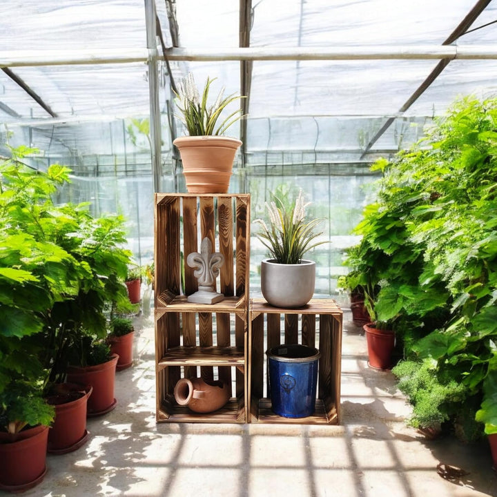 Obstkisten/Weinkisten/Holzkisten Tolle Set-Angebote -Geflammt oder Natur - massiv und stabil - Ideal