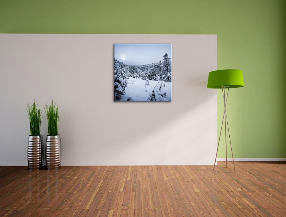 Pixxprint Winterlandschaft vereister See/Format: 70x70cm / Leinwandbild fertig bespannt Wandbild Kun