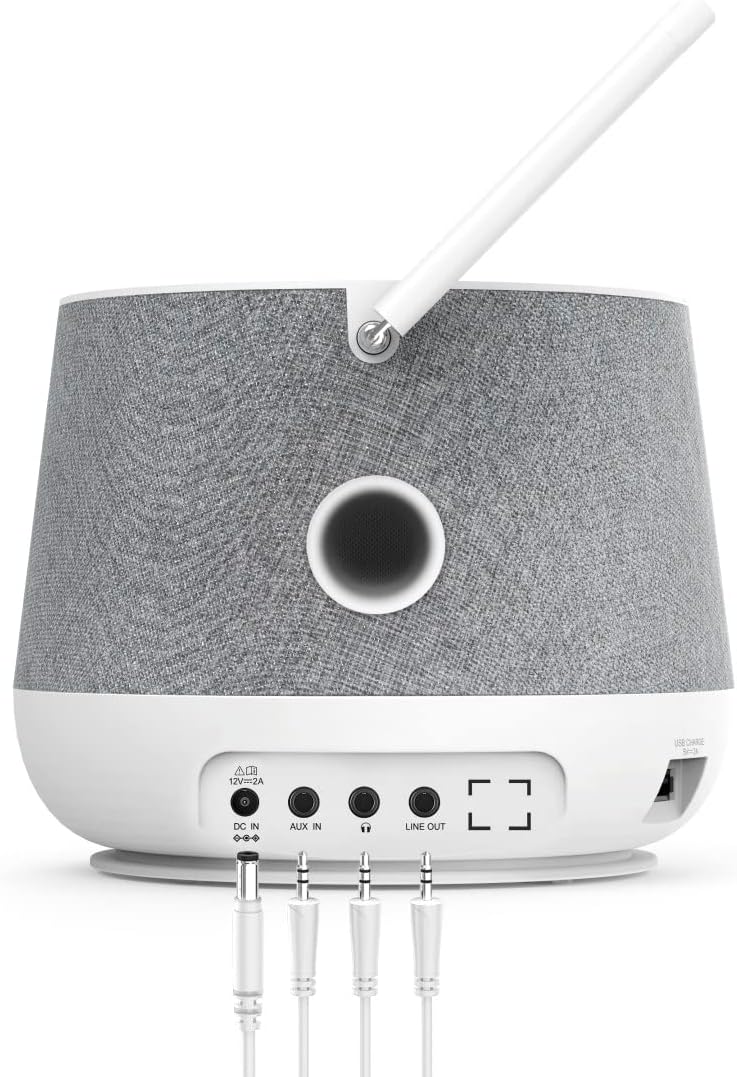 Hama DAB+ Digitalradio Internetradio (Smart Radio mit 2-Wege-Lautsprecher & Handy-Ladefunktion, WLAN