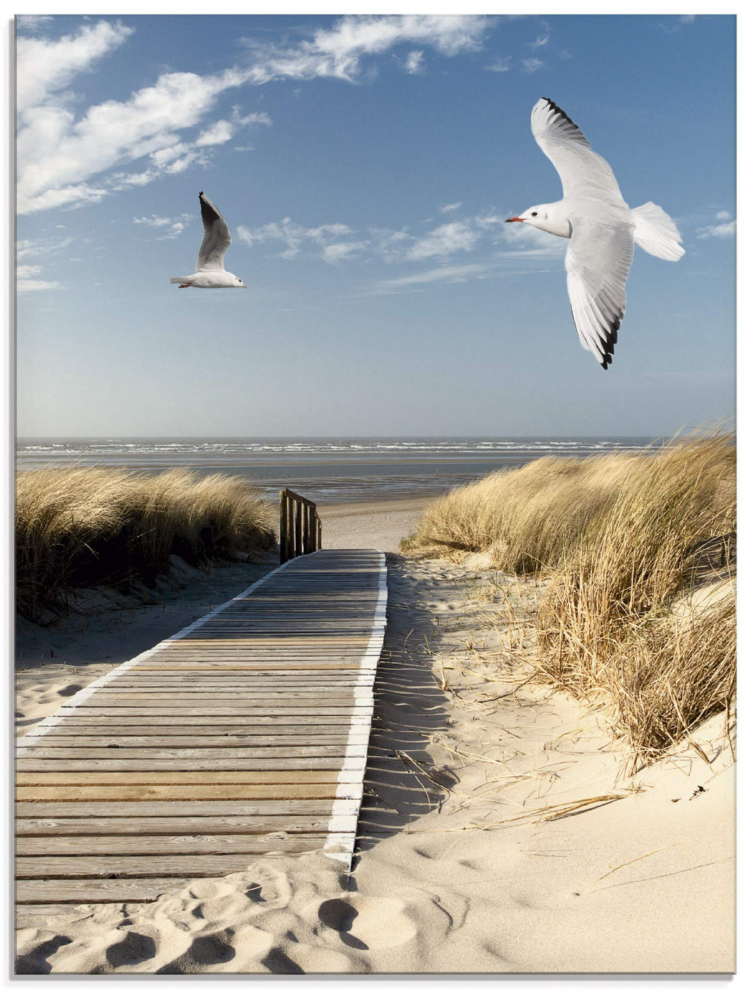 ARTland Glasbilder Wandbild Glas Bild einteilig 60x80 cm Hochformat Strand Meer Nordsee Küste Möwen