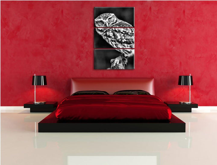 Pixxprint Eule auf AST als Leinwandbild/Grösse: 3 Teilig (120x80) cm/Wandbild/Kunstdruck/fertig besp