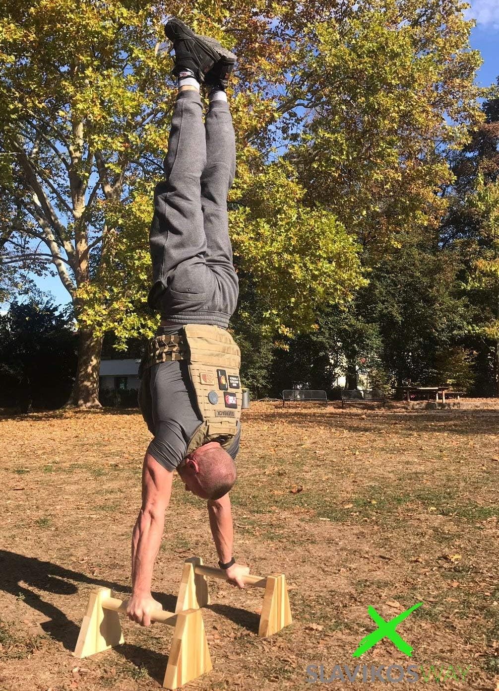 Parallettes Holz Liegestützgriffe Handstandgriffe Stabil Buchsholz Handstand Calisthenics Slavikoswa