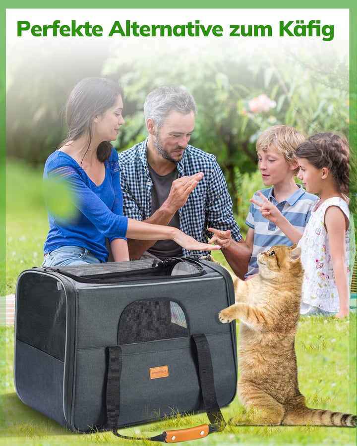 Morpilot Katzentransportbox für grosse Katzen und Welpen bis 7kg, Katzenbox Hundetasche mit Sicherhe