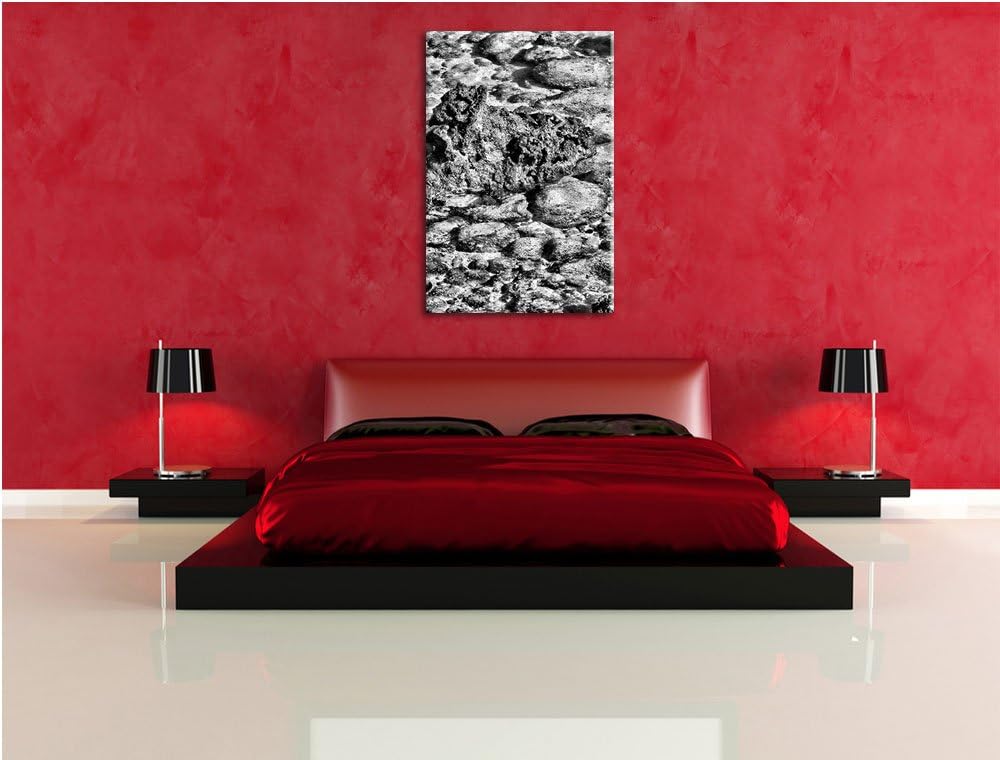 Pixxprint Monocrome, rote Krabbe auf Stein, Format: 100x70 auf Leinwand, riesige Bilder fertig gerah