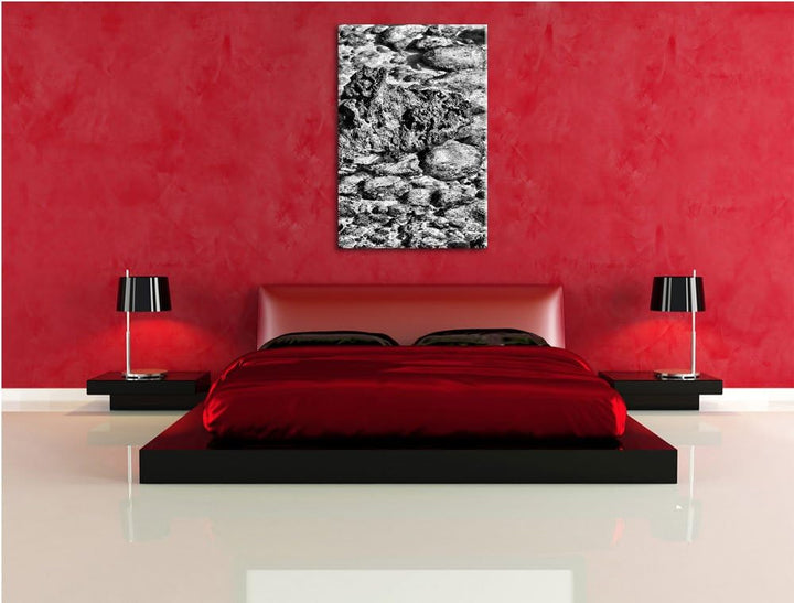 Pixxprint Monocrome, rote Krabbe auf Stein, Format: 100x70 auf Leinwand, riesige Bilder fertig gerah