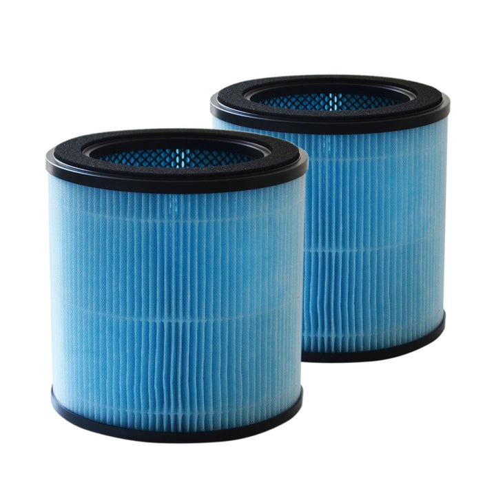 PUREBURG Ersatz-Filter kompatibel mit AIRTOK AP0601 Luftreiniger AP0601-RF, 2er-Pack H13 True HEPA 3