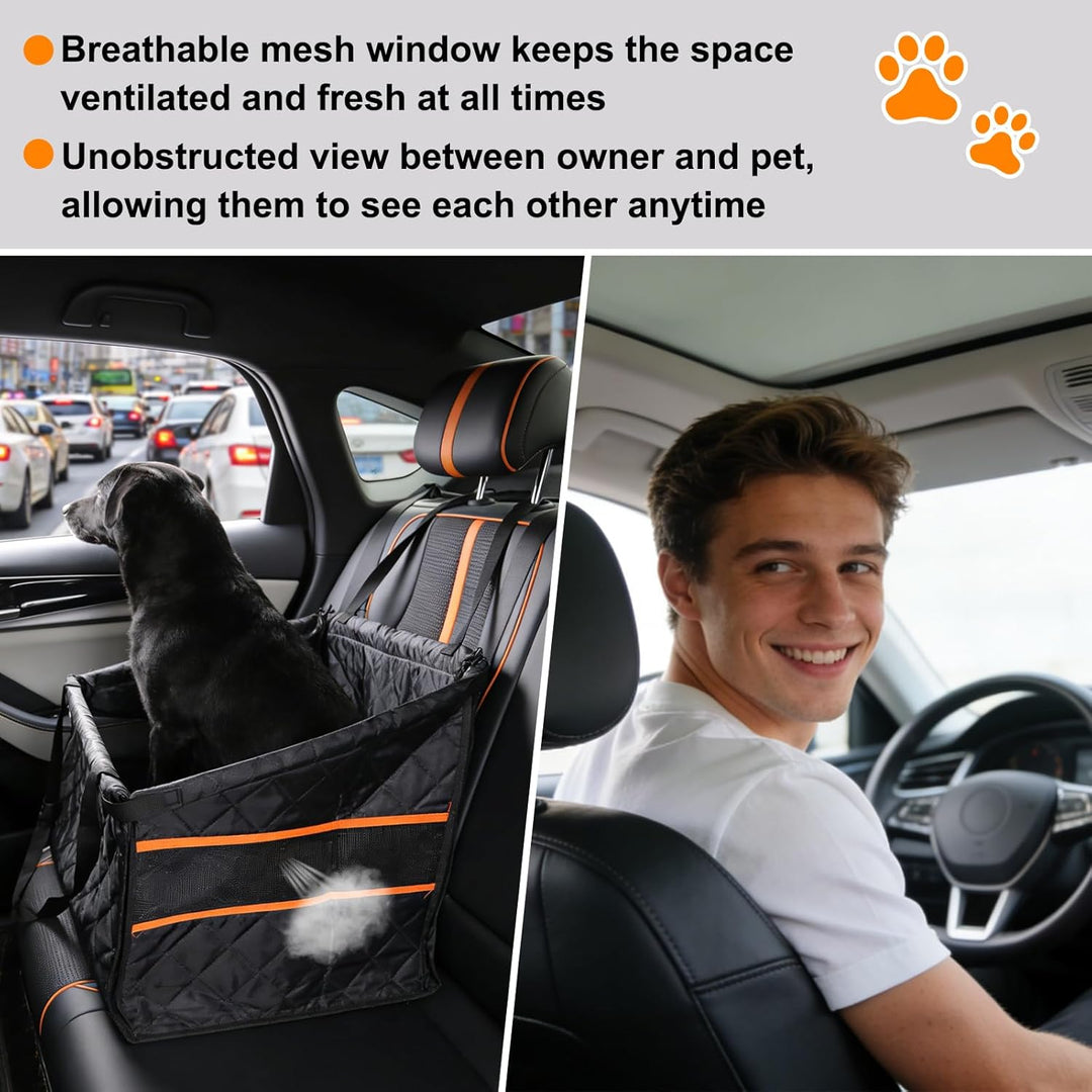 Hundesitz Auto Rückbank, Hundeautositz Hundesitz Kleine Hunde, Extra Stabiler Hunde Autositz Mit Sic