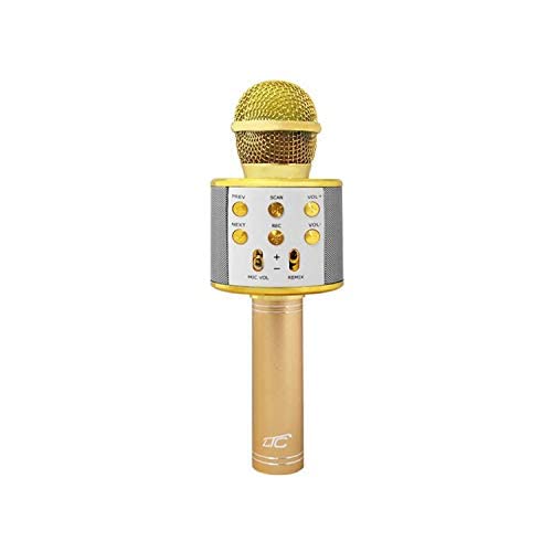 LTC MIC100 Drahtloses Bleutooth Mikrofon mit Lautsprecher Karoke Handmikrofon 5W UKW-Radio microSD (