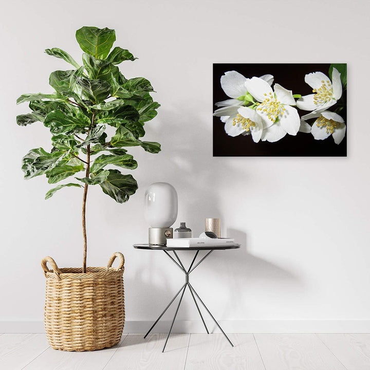 Feeby Wandbild Orchideen Druckbild Leinwandbild für Schlafzimmer Weiss 100x70 cm Leinwandbild 100x70