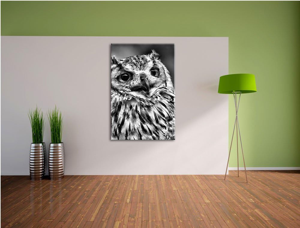 Pixxprint Monocrome, sehr müde Waldeule, Format: 100x70 auf Leinwand, 100x70