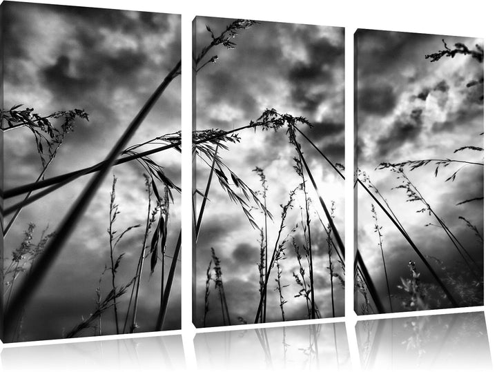 Pixxprint Düsteres Gras vorm Regen als Leinwandbild/Grösse: 3 Teilig (120x80) cm/Wandbild/Kunstdruck