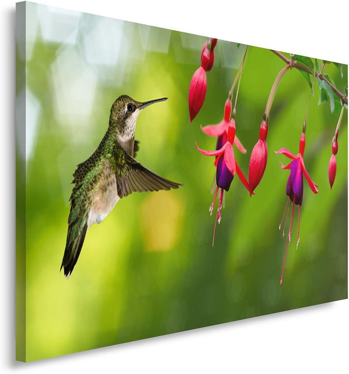Feeby Frames, Leinwandbild, Bilder, Wand Bild, Wandbilder, Kunstdruck 70x100cm, VOGEL, KOLIBRI, TIER