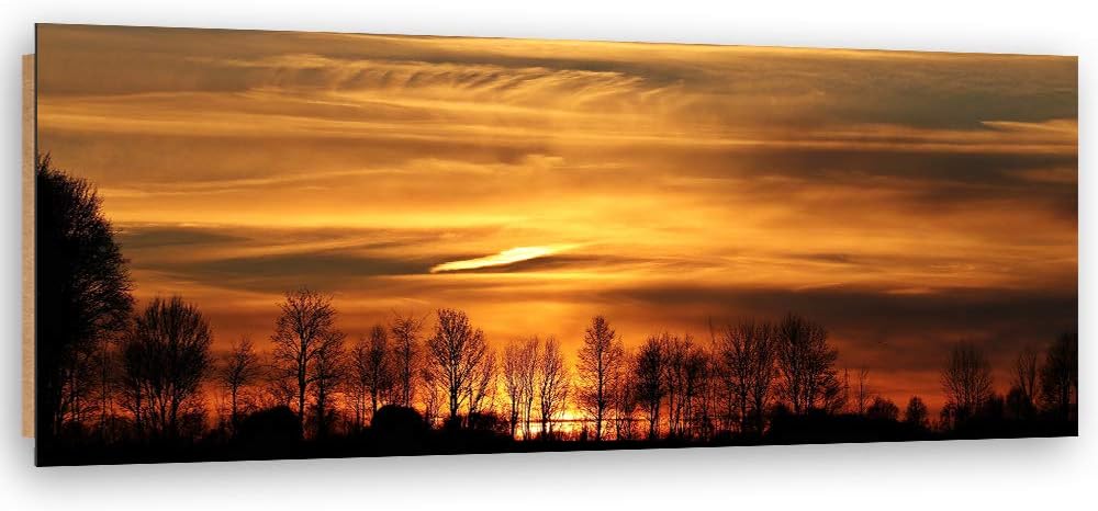 Wandbild Sonnenuntergang Modern Deko Kunst Bilder Bäume Braun 100x40 cm Deko Paneel 100x40 cm Braun_