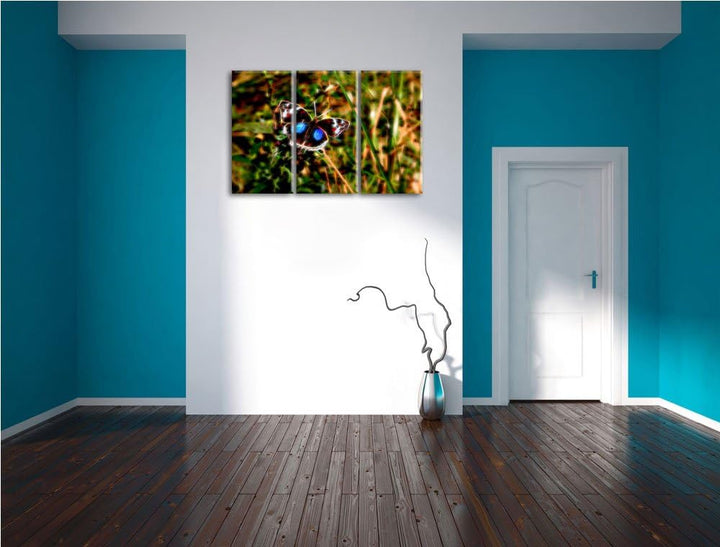 aussergewöhnlicher Schmetterling auf Grashalm NewArt 3-Teiler Leinwandbild 120x80 Bild auf Leinwand,