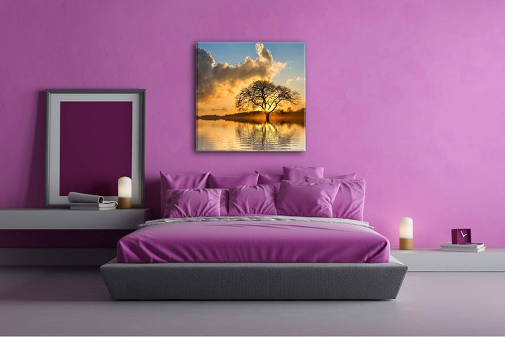 deyoli einsamer Baum im Wasser Format: 70x70 als Leinwandbild, Motiv fertig gerahmt auf Echtholzrahm