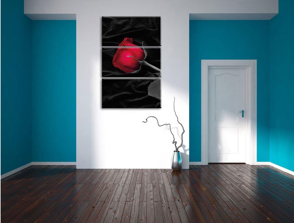 Pixxprint rote Rose gebettet auf schwarzem Samt als Leinwandbild/Grösse: 3 Teilig (120x80 cm) cm/Wan