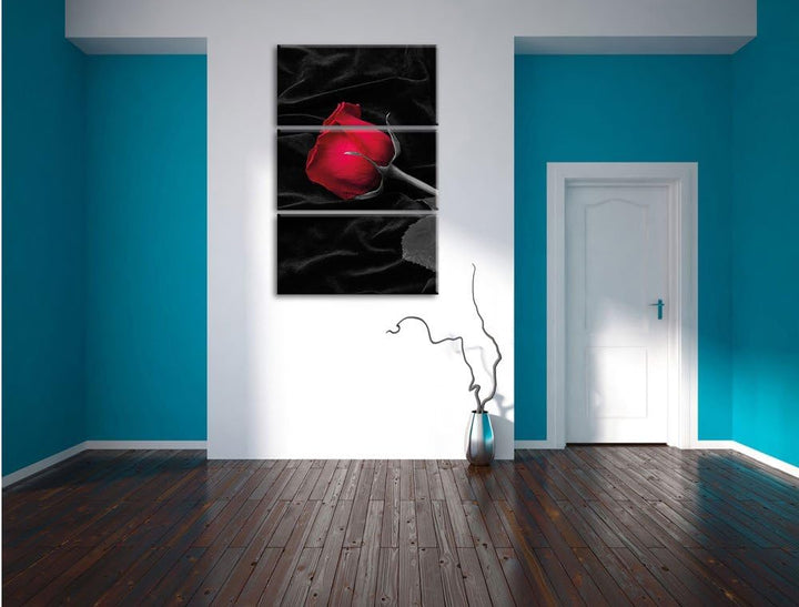 Pixxprint rote Rose gebettet auf schwarzem Samt als Leinwandbild/Grösse: 3 Teilig (120x80 cm) cm/Wan
