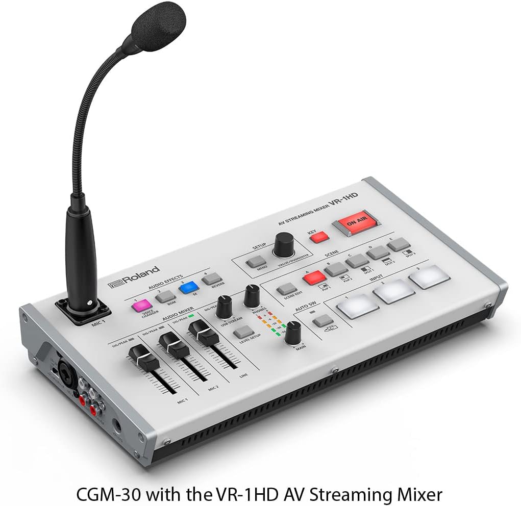 Roland CGM-30 Schwanenhals-Mikrofon