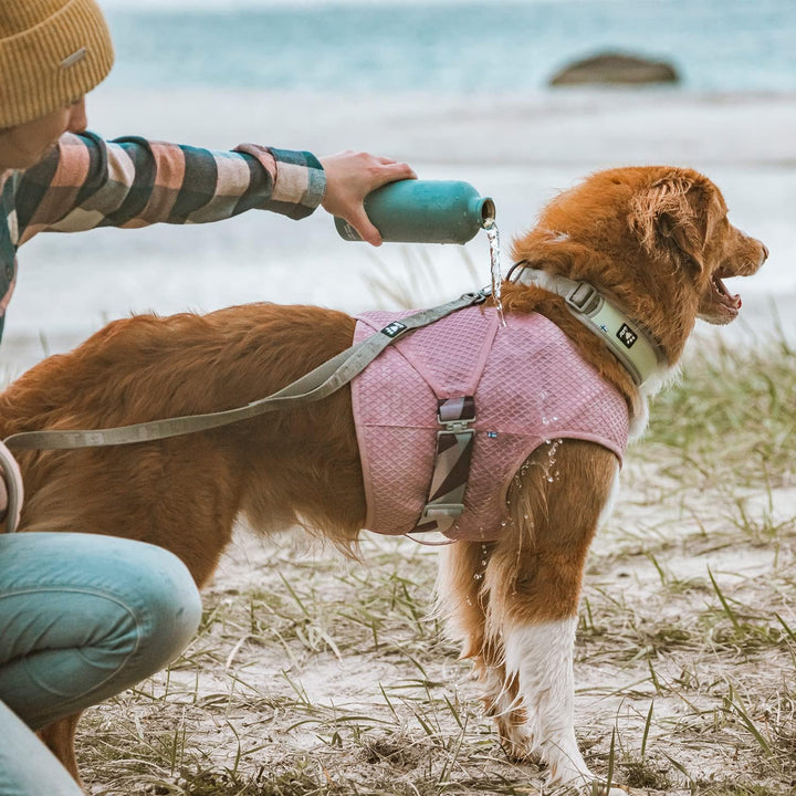 Hurtta Kühlweste für Hunde, Kühljacke Hund, Gelb, 85-95 Kurkuma 85-95, Kurkuma 85-95