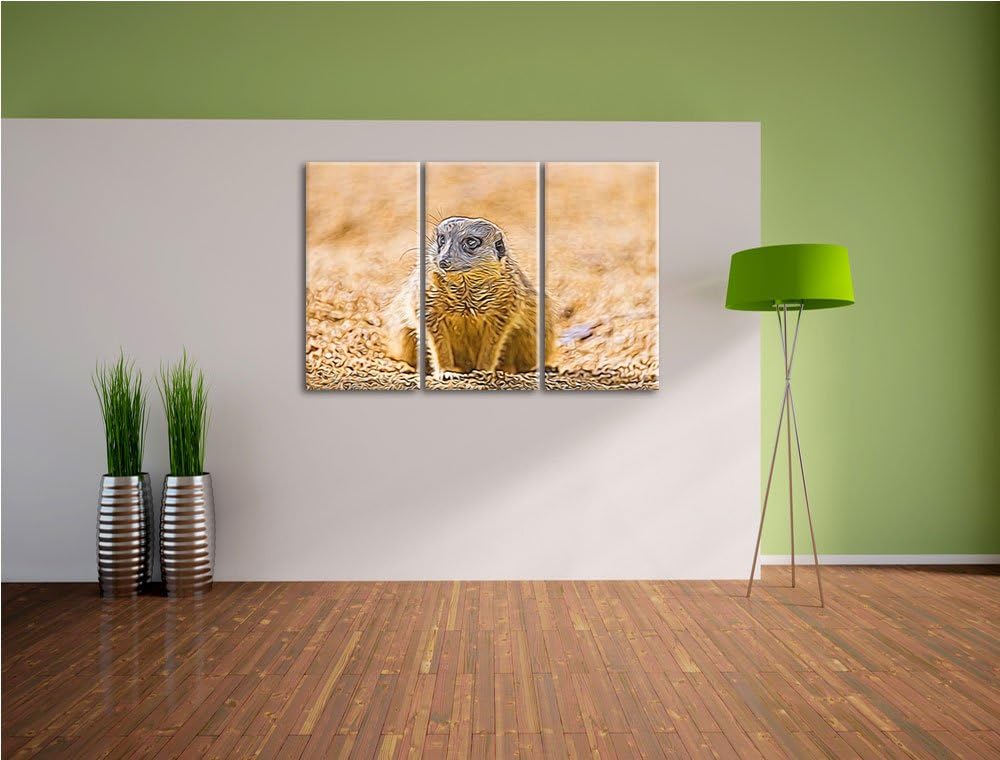 schüchternes Erdmännchen NewArt 3-Teiler Leinwandbild 120x80 Bild auf Leinwand, XXL riesige Bilder f