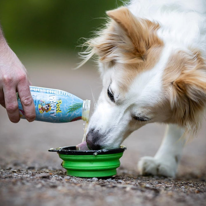 SmoothieDog Schleckball Hundesmoothie 3er Summer Edition - Schleckball für Hunde, Snackball, zur Bes