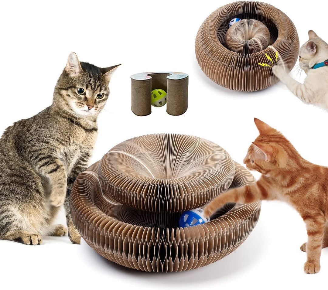 Katzen Kratzbrett,Magic Organ Cat Scratching Board, 2-in-1 Cat Kratzbrett mit Glöckchen, Foldable Co