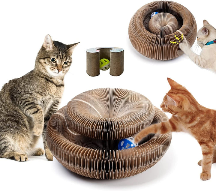 Katzen Kratzbrett,Magic Organ Cat Scratching Board, 2-in-1 Cat Kratzbrett mit Glöckchen, Foldable Co