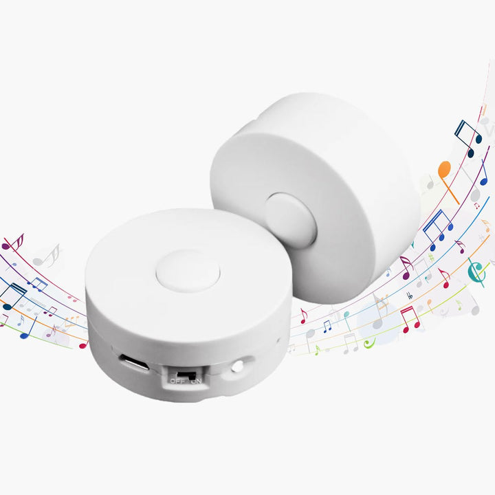 Diktiergerät, 16Mins Voice Box für Stofftiere, Bären und Bastelkissen. 16 MB Aufzeichnung individuel