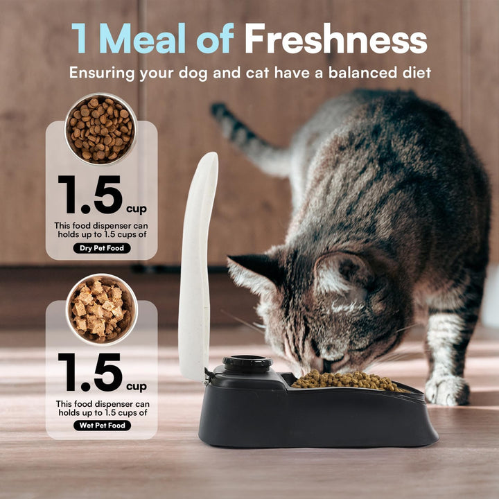 PAWISE Automatische Haustierfütterung für Hunde und Katzen, 1.5 Cup Futterspender Feeder mit 48-Stun