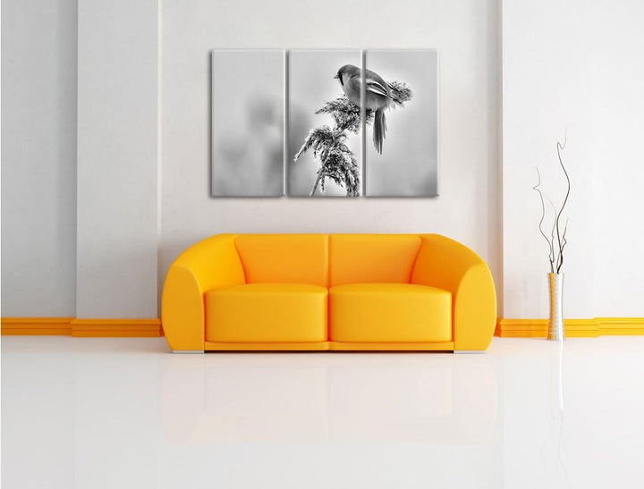 Pixxprint Vogel auf Weizen im Winter als Leinwandbild/Grösse: 3 Teilig (120x80 cm) cm/Wandbild/Kunst