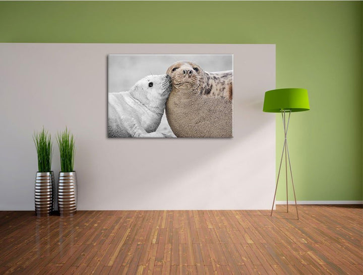 süsse Robben schmusen schwarz/weiss Format: 100x70 auf Leinwand, XXL riesige Bilder fertig gerahmt m