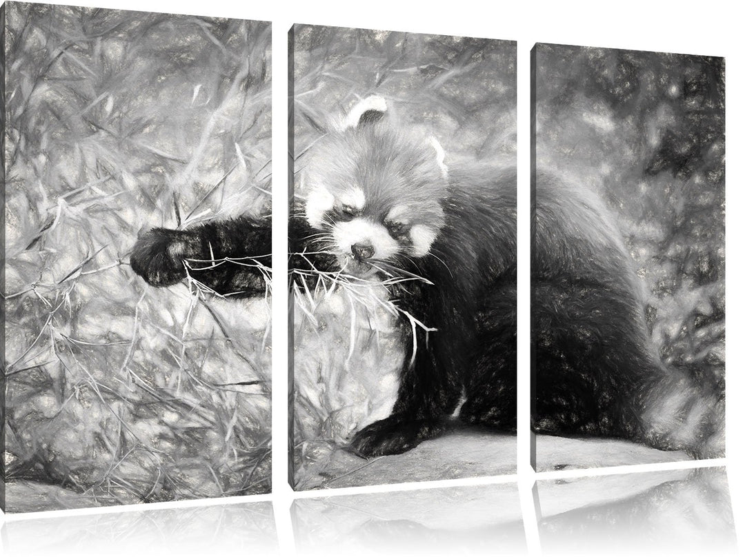 Pixxprint Niedlicher roter Panda Kohle Zeichnung Effekt 3-Teiler Leinwandbild 120x80 Bild auf Leinwa