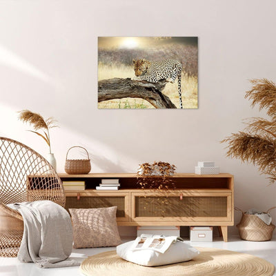 Bilder auf Leinwand Afrika Leopard Katze Safari Leinwandbild 70x50cm Wandbilder Dekoration Wohnzimme