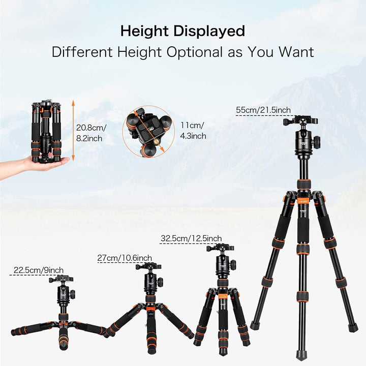 Koolehaoda Mini Stativ Kamera 55cm Aluminium Kompaktes kleines Tischstativ Reisestativ mit 360° Kuge