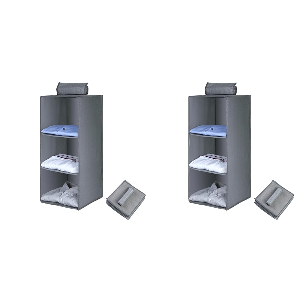 AiQInu Hängeregal Kleiderschrank,Hängeaufbewahrung Schrank Organizer mit 3 Fächern,Faltbar Platzspar