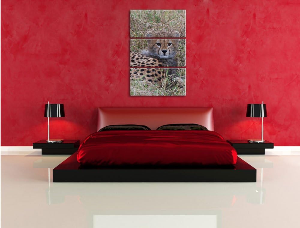 Pixxprint süsse Junge Geparden im Gras / 3-Teilig/Gesamtmass 120cm Leinwandbild bespannt auf Holzrah