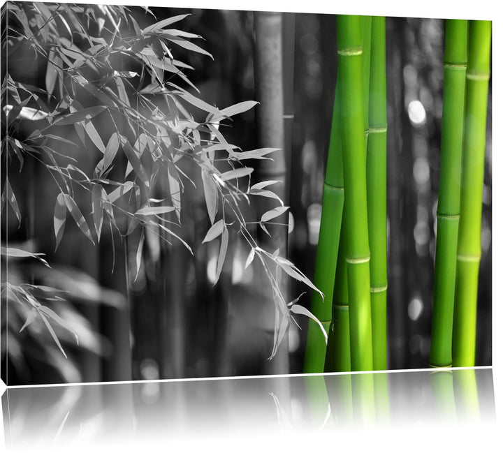 frischer Bambus schwarz/weiss Format: 100x70 auf Leinwand, XXL riesige Bilder fertig gerahmt mit Kei