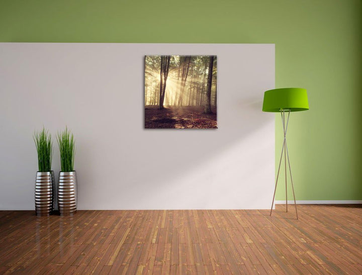Pixxprint Waldlichtung im Sonnenschein, Format: 70x70 auf Leinwand, 70x70