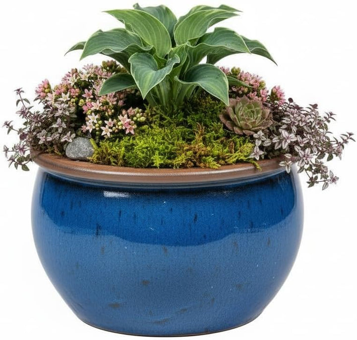 Teramico Blumentopf Pflanzgefäss Übertopf Modell Bavaria Grün Blau Verschiedene Grössen - absolut fr